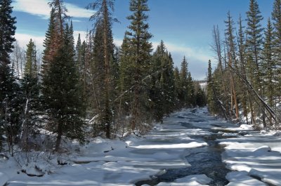 Winter on the Elk River