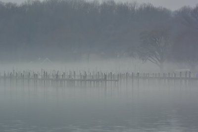 Fog on the Elk River