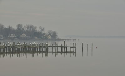 Fog on the Elk River