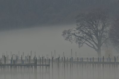 Fog on the Elk River