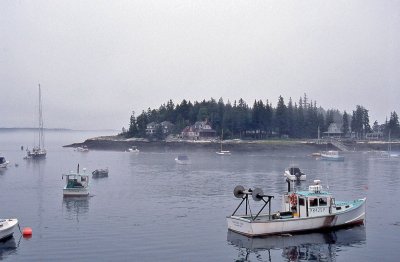 Maine's Coastline