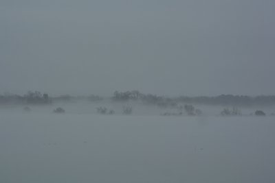 Fog on the Elk River