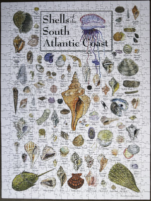 South Atlantic Shells Puzzle