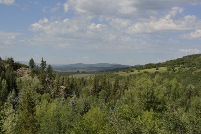 View Across from Mad Creek