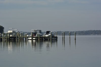 Elk River Shore