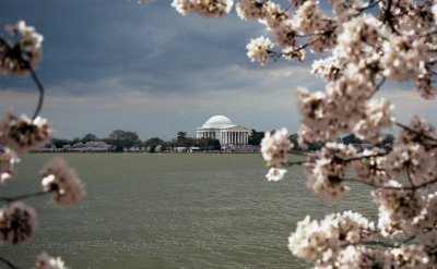 Jefferson Memorial - Springtime