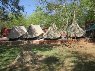 Nature trail camp tents near the banks of river Mahi Sagar, Vododara