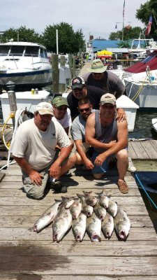 Chesapeake Bay Striped Bass Fishing with Capt. Chris Diehl aboard TEASER 