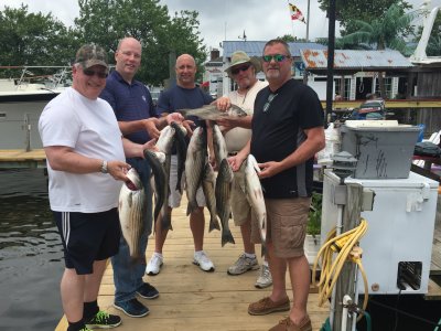 Spring and Summer Schoolies