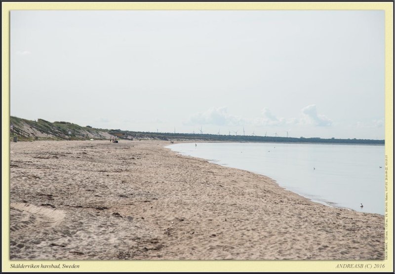 _D8E7028csX1920_1.jpg