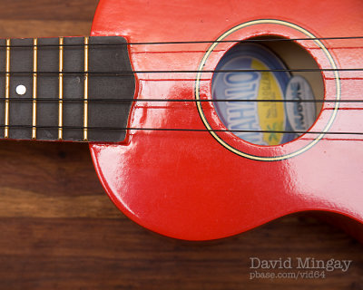 Jul 20: Mum's uke.