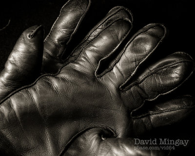 Jan 22: Gloves
