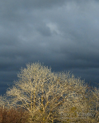 Apr 9: Storm