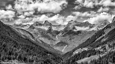 2014-79 V-Alps