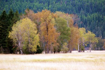 IMG_1938.JPG