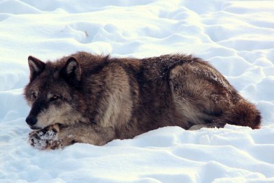 When is lunch.jpg