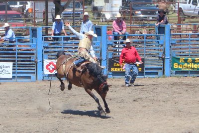 IMG_0225.JPG