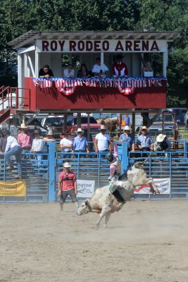 IMG_0975.JPG