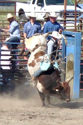 IMG_1029.JPG