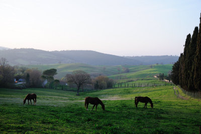 Tuscany