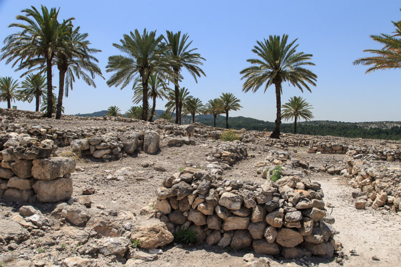 Megiddo National Park