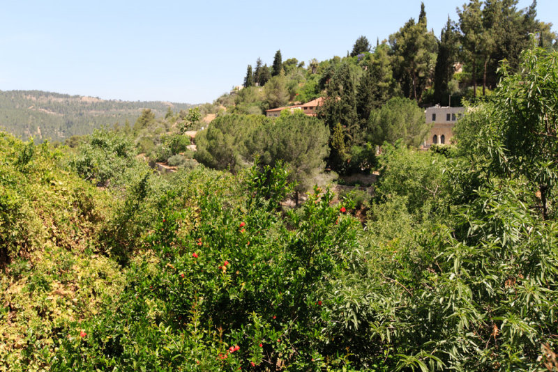 from St. John Ba Harim