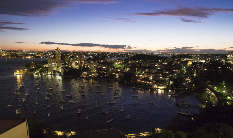 The Harbour