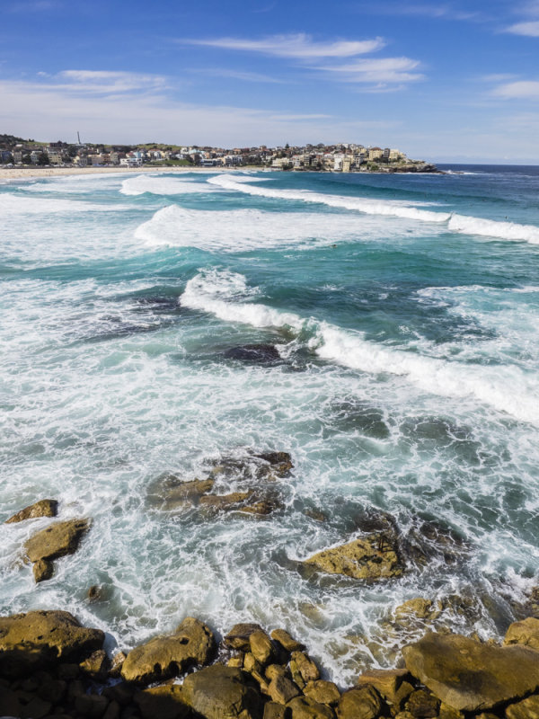 Bondi Beach