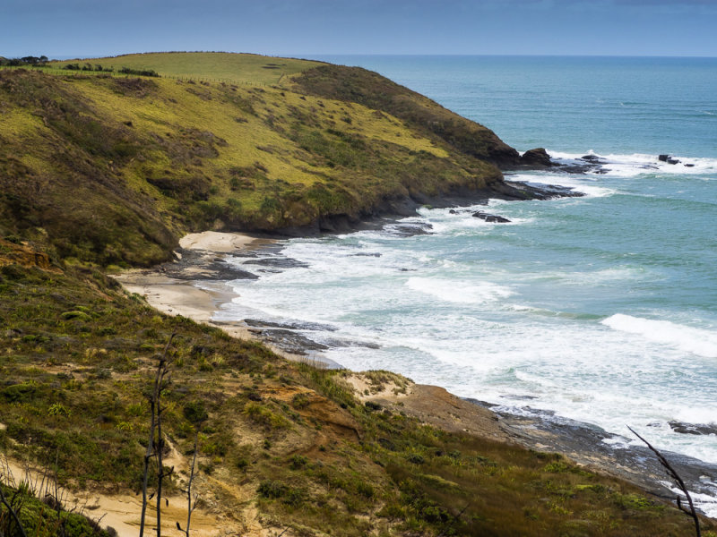 Martins Bay