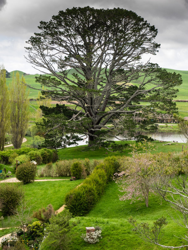 The Party Tree