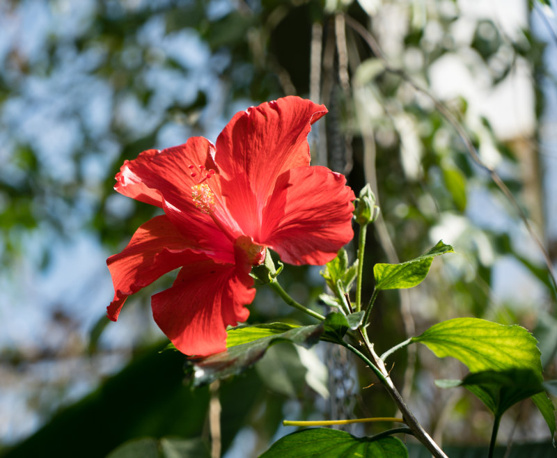 _DSC9754.jpg