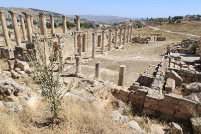 Jerash