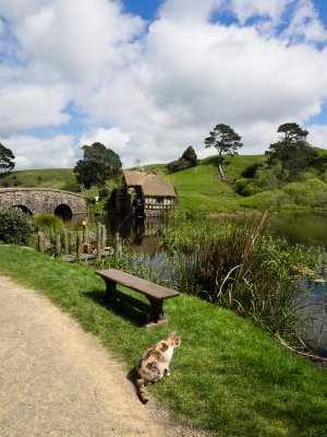 The Green Dragon