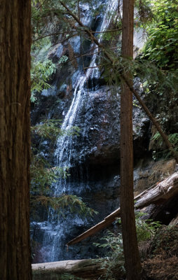Berry Creek Falls