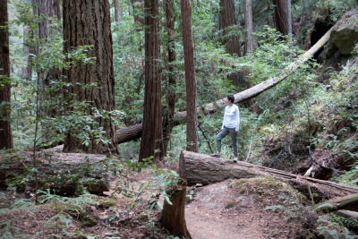 Ania at Berry Creek Falls