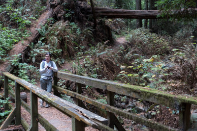 Steep Ravine Trail