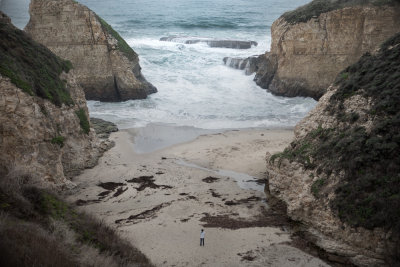 Shark Fin Cove