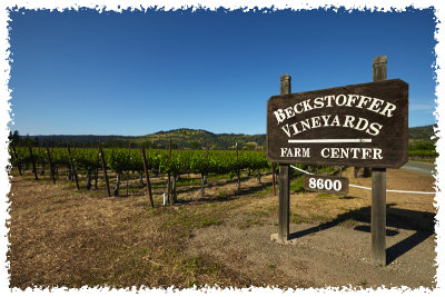 Beckstoffer To Kalon Vineyard. Some of the best fruit in the valley.