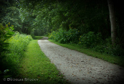 A walking trail...