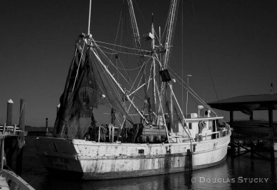 Shrimp Boat