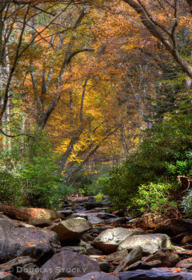 Smoky Mountain Color