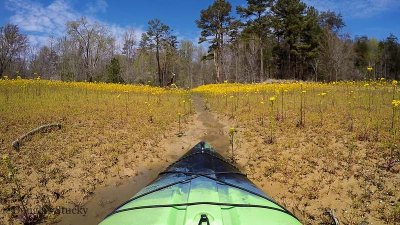 Big Ridge, Norris Lake