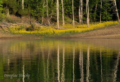 Kayaking