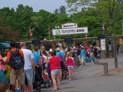 Welcome  to  Toronto  Zoo