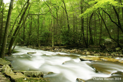 Cascade Falls