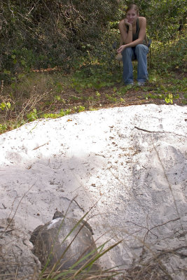 CRW_1438.jpg