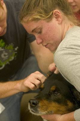 CRW_3019.jpg