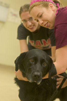 CRW_3025.jpg