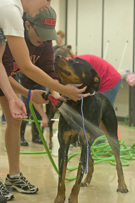 CRW_3033.jpg