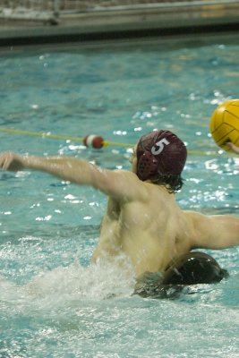waterpolo3.jpg